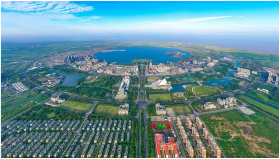 上海最新明确：五大新城多项利好政策齐发，将制定差异化的人才引进政策！